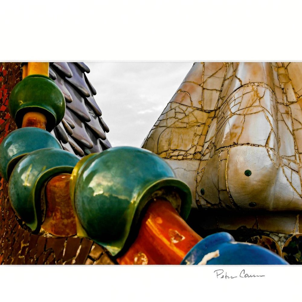 Dragon On The Rooftop Barcelona Spain Photographic Art Print 9x12 Signed Matting